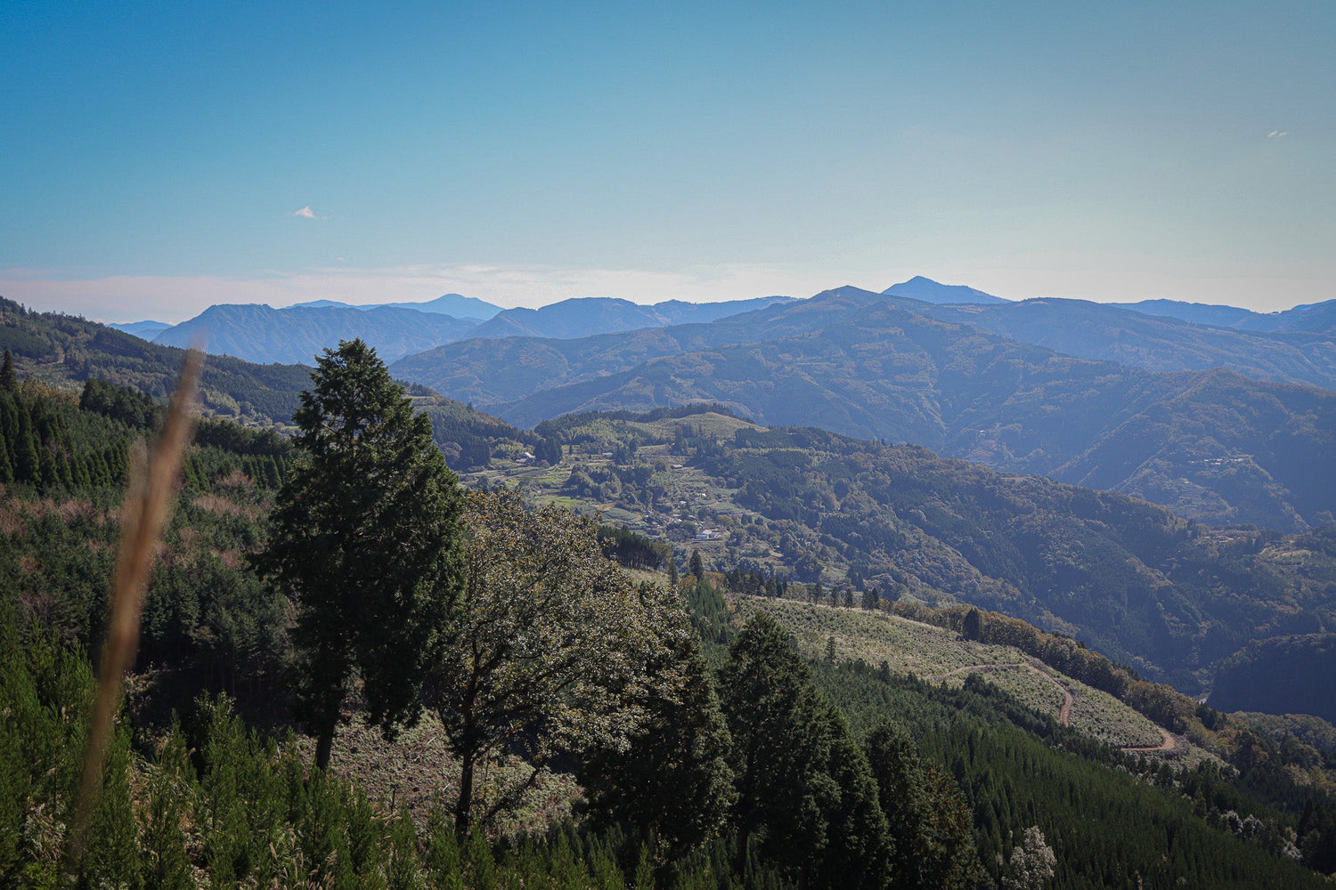 地鶏農園 「九州宝山」のギフトセット